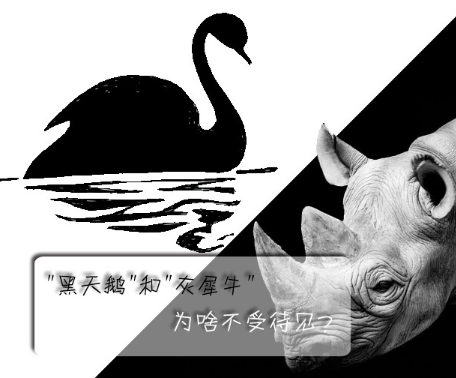 "黑天鵝"和"灰犀牛"為啥不受待見(jiàn)？