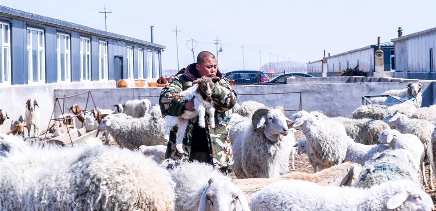 易地搬遷讓村民“住得好、能致富”