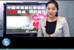 權威聲音：“快時代”究竟還有什么可以速成？