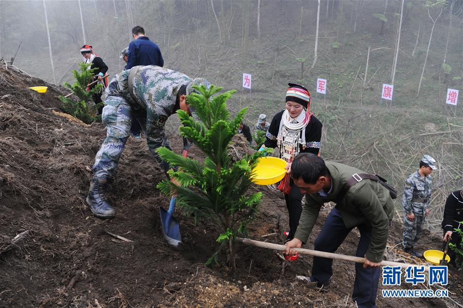 （圖文互動）（6）和平年代，離死神最近的人——南部戰(zhàn)區(qū)陸軍云南掃雷大隊邊境掃雷排爆記事