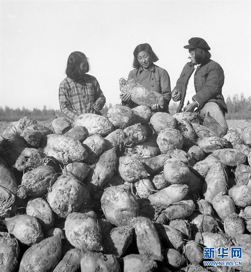（圖文互動(dòng)）（2）為了“中國(guó)號(hào)”巨輪揚(yáng)帆遠(yuǎn)航——中國(guó)共產(chǎn)黨領(lǐng)導(dǎo)下的人民軍隊(duì)忠于祖國(guó)、服務(wù)人民啟示錄
