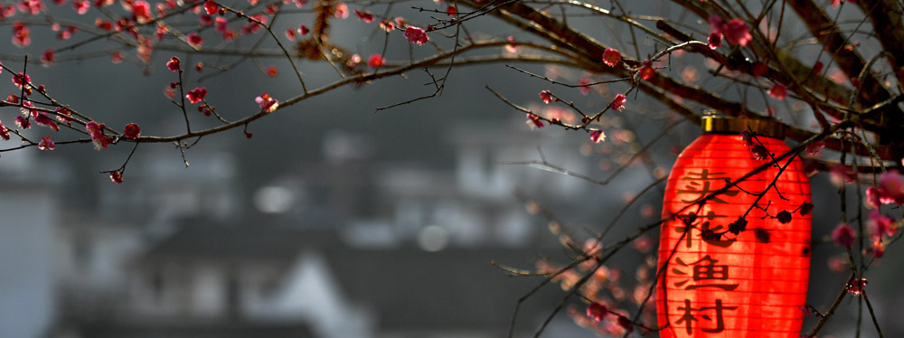 春來(lái)花開，綻放正當(dāng)時(shí)