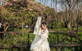 徜徉櫻花花海，來(lái)場(chǎng)動(dòng)漫之旅