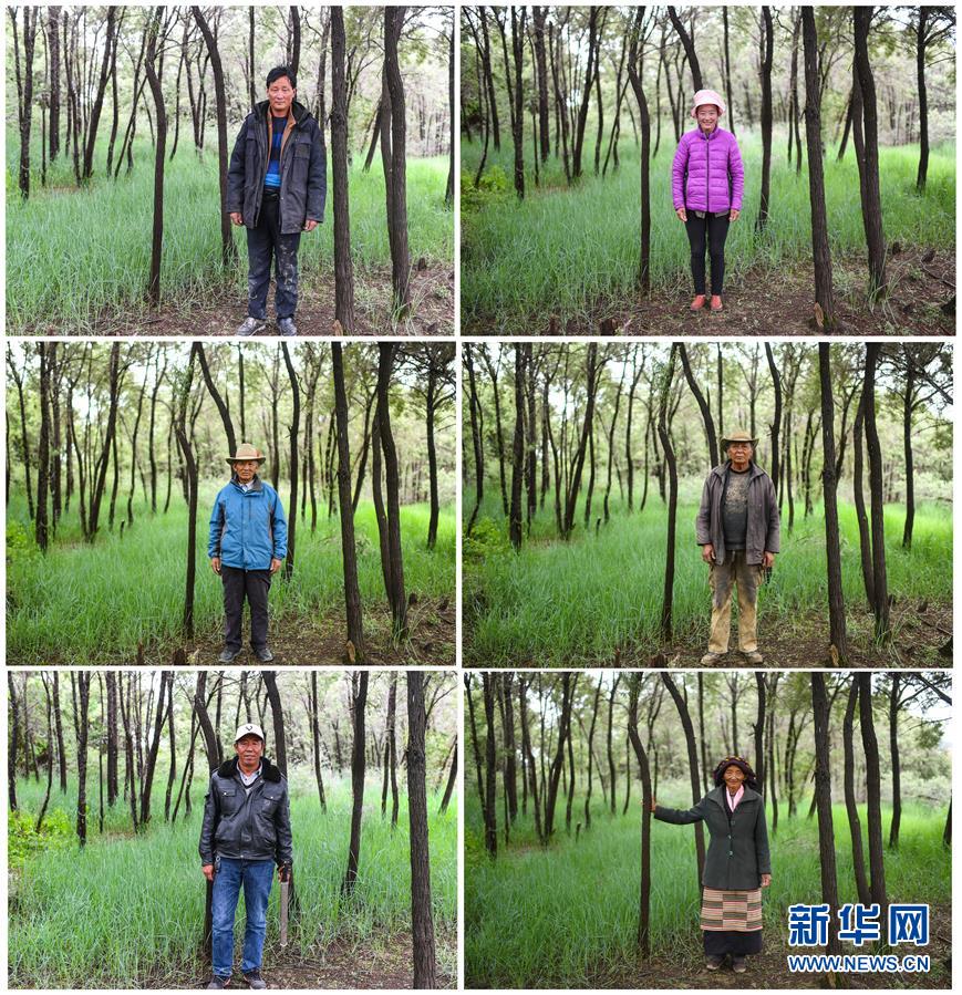 （十九大·讀報告 話民生）（9）加快生態(tài)文明體制改革，建設(shè)美麗中國