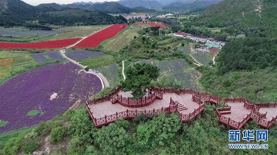 （十九大·讀報(bào)告 話民生）（10）加快生態(tài)文明體制改革，建設(shè)美麗中國