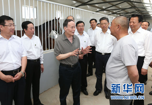 這是7月3日，王岐山在錫林浩特市義合良種馬繁育基地考察。新華社記者 龐興雷 攝