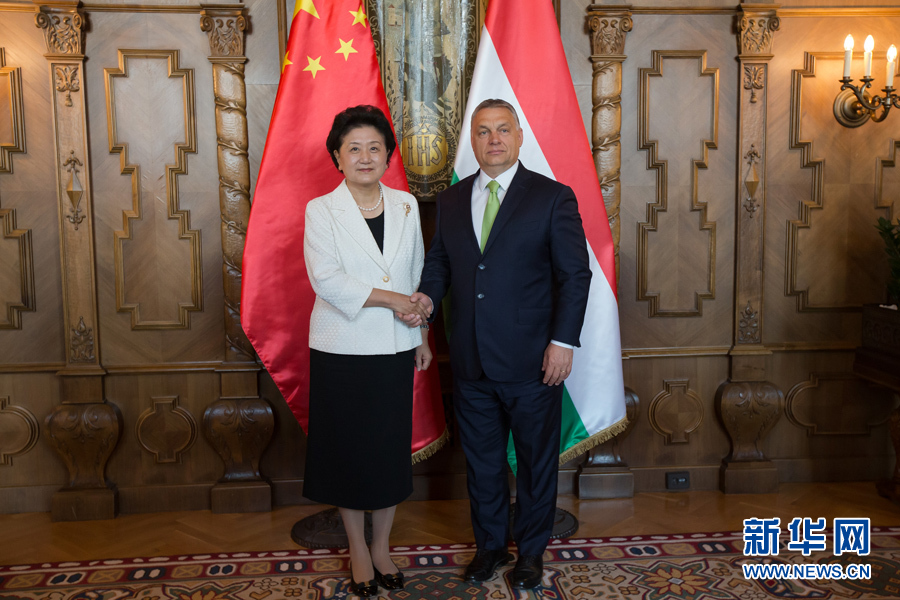  6月21日，國務(wù)院副總理劉延?xùn)|（左）在匈牙利布達(dá)佩斯國會大廈會見匈牙利總理歐爾班。 新華社發(fā)（弗爾季·奧蒂洛攝）