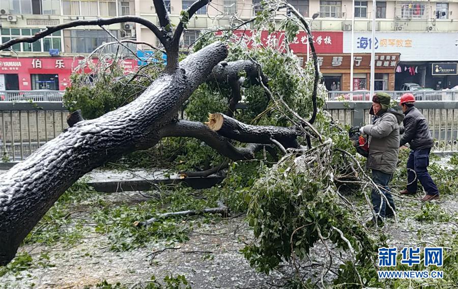 （新華全媒頭條）（7）雨雪冰凍中，他們奮力前行——基層黨員干群抗擊冰雪災害紀實