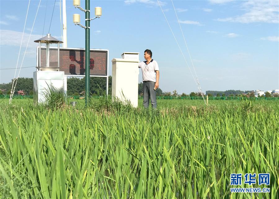 （新華全媒頭條·紀念改革開放40年特稿·圖文互動）（6）向著新航程揚帆奮進！——從小崗精神看中國改革開放40年