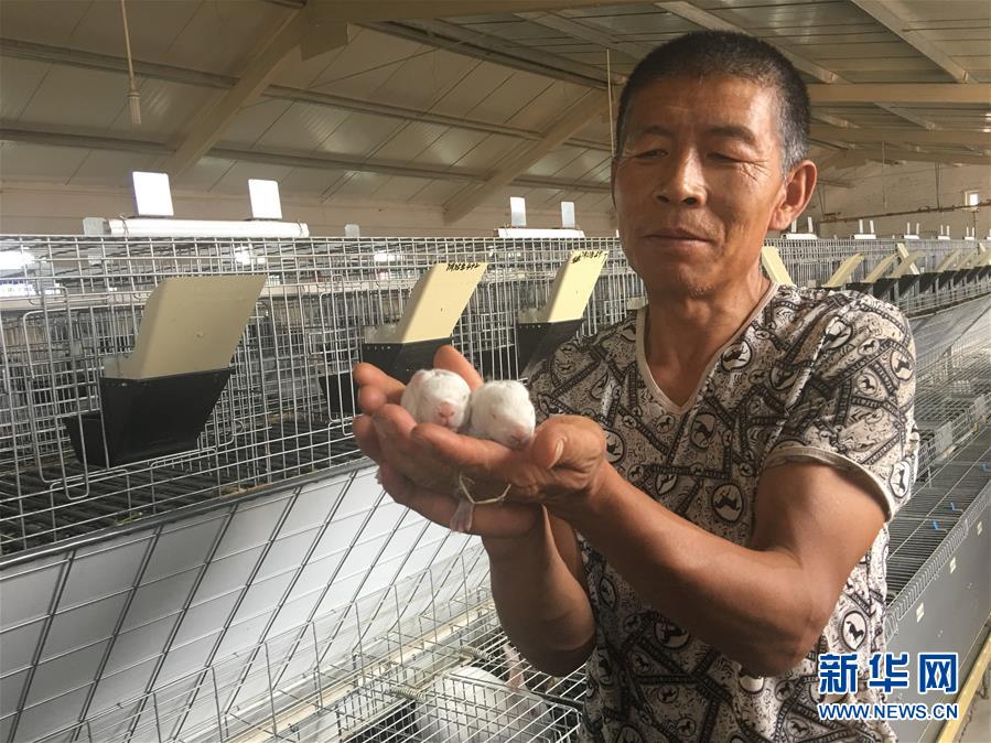 （新華全媒頭條·在習(xí)近平新時(shí)代中國特色社會(huì)主義思想指引下——新時(shí)代新作為新篇章·圖文互動(dòng)）（10）綠富同興畫卷在沙海中鋪展——庫布其沙漠生態(tài)治理紀(jì)實(shí)