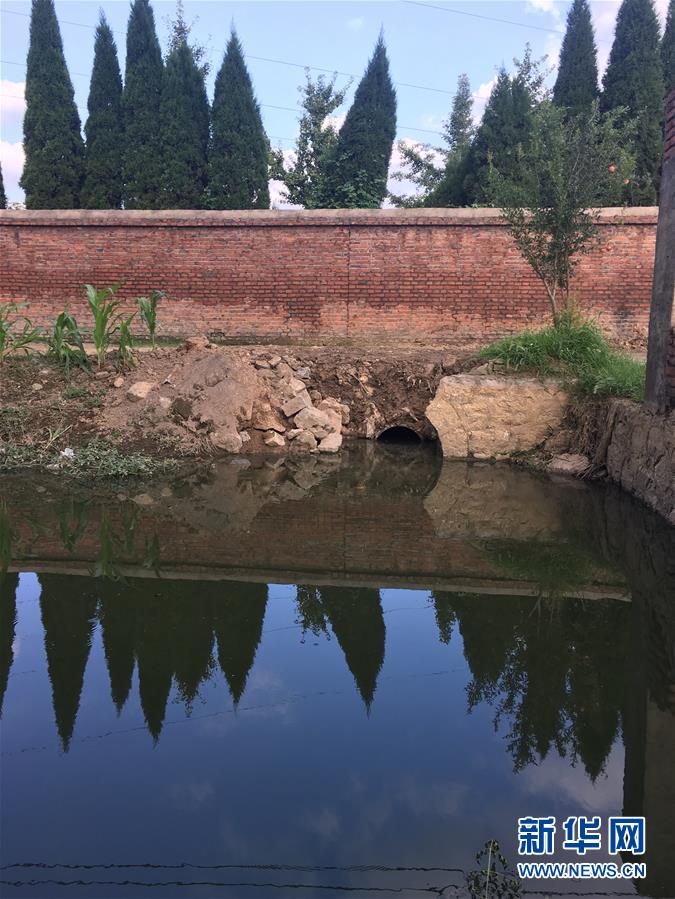 （新華視點(diǎn)·圖文互動(dòng)）（3）上游洪水來襲下游魚蟹死亡，泄洪為何變泄污？