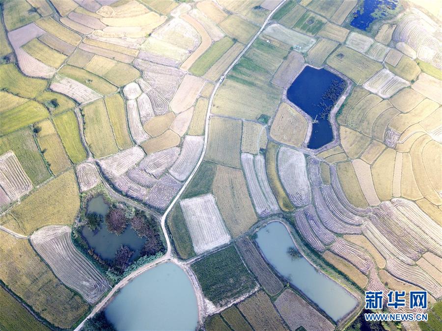 （新華全媒頭條·壯闊東方潮　奮進(jìn)新時代——慶祝改革開放40年·圖文互動）（2）小崗，與時代同行——“中國農(nóng)村改革第一村”40年變遷的改革啟示