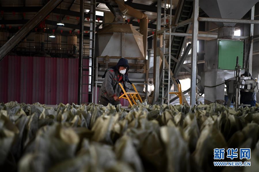 （在習(xí)近平新時代中國特色社會主義思想指引下——新時代新氣象新作為·鄉(xiāng)村振興戰(zhàn)略·圖文互動）（1）“與其放火，不如打包”——山西渾源秸稈綜合再利用見聞