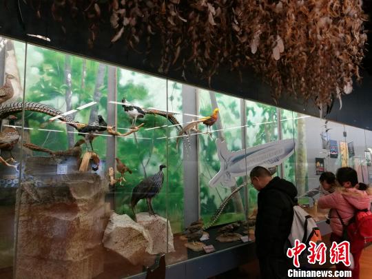 圖為展覽現(xiàn)場?！『h(yuǎn)航 攝