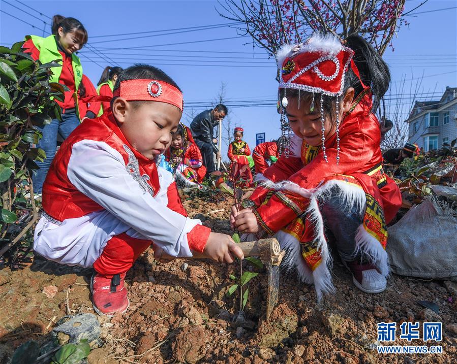 (社會(huì))(2)多民族兒童共迎植樹節(jié)