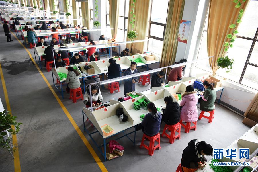 （在習(xí)近平新時代中國特色社會主義思想指引下——新時代新作為新篇章·圖文互動）（5）“搬遷到哪里，服務(wù)就延伸到哪里”——貴州推進(jìn)易地扶貧搬遷“后半篇文章” 