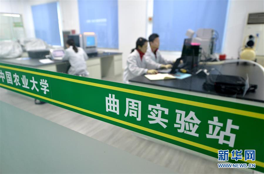 （愛國情 奮斗者·圖文互動）（3） “解民生之多艱，育天下之英才”——中國農(nóng)大師生扎根田野書寫奉獻之歌