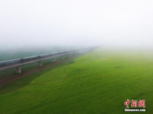 資料圖：動(dòng)車(chē)組穿越雨霧中的油菜花海宛若穿越時(shí)空。 楊艷敏 攝