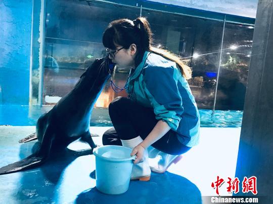 于雅麗與海獅親密瞬間?！“瑧c龍 攝