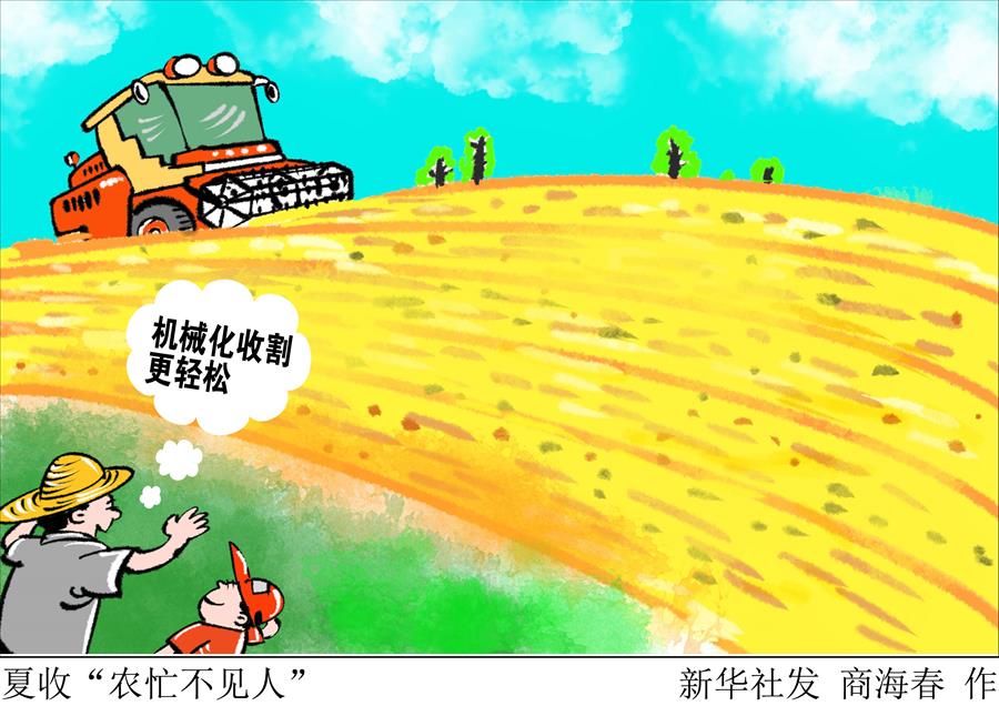 （圖表·漫畫）[新華視點(diǎn)]夏收“農(nóng)忙不見(jiàn)人”