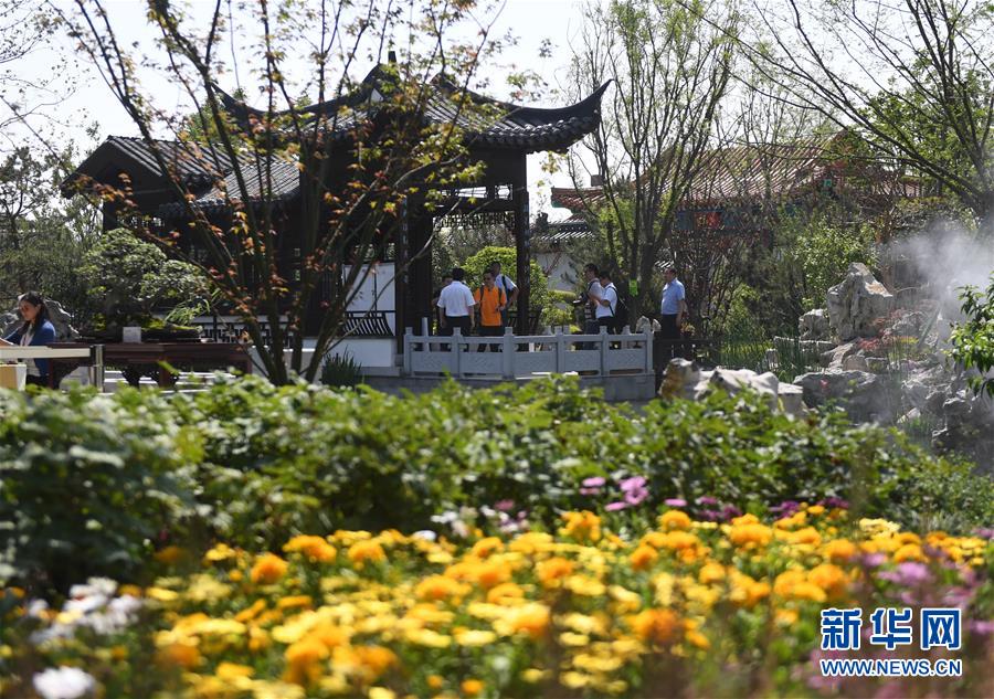 （新華全媒頭條·圖文互動）（2）天人合一、咫尺乾坤：蘇州園林的東方魅力