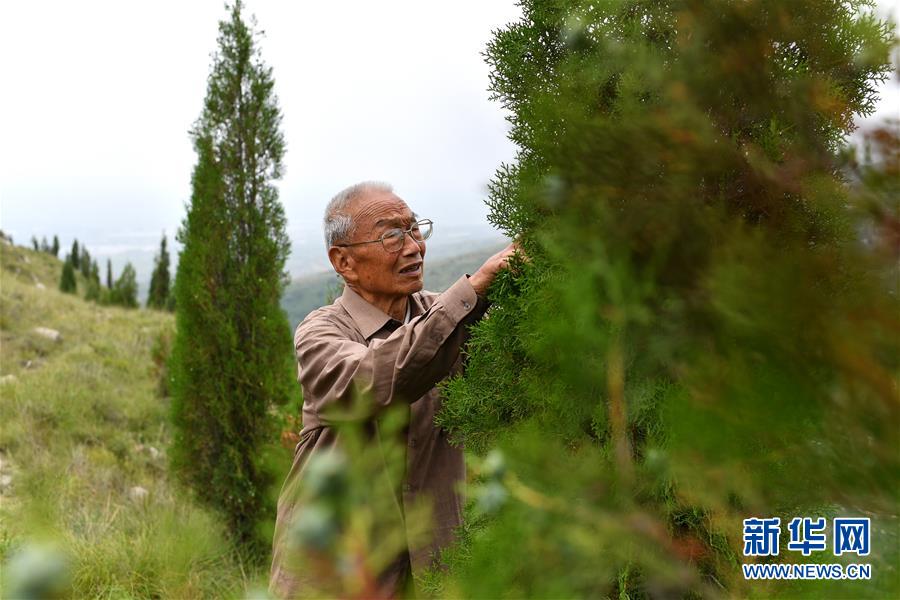 （在習(xí)近平新時(shí)代中國特色社會主義思想指引下——新時(shí)代新作為新篇章·圖文互動）（5）中條山下綠意濃——一個(gè)“資源窮縣”的生態(tài)發(fā)展之路