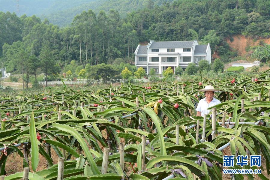 （在習(xí)近平新時(shí)代中國(guó)特色社會(huì)主義思想指引下——新時(shí)代新作為新篇章·總書(shū)記關(guān)心的百姓身邊事·圖文互動(dòng)）（6）大污染變身“大寶藏”：治理畜禽糞污，他們這樣干！