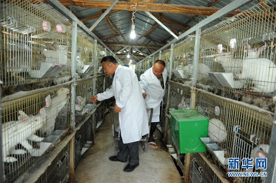 （新華全媒頭條·圖文互動）（4）干部去哪兒了？——貴州干部大規(guī)模下沉脫貧攻堅(jiān)一線紀(jì)實(shí)