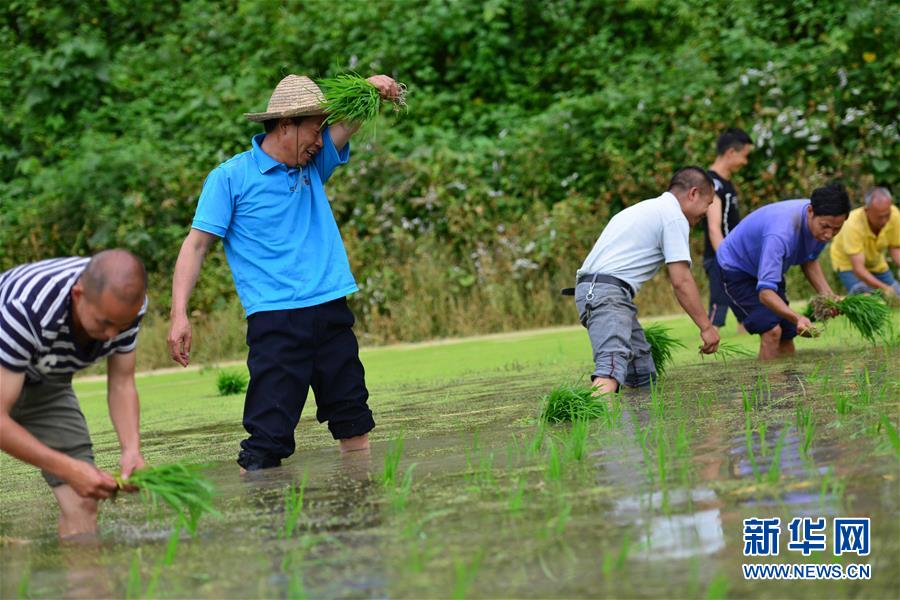 （新華全媒頭條·圖文互動）（8）干部去哪兒了？——貴州干部大規(guī)模下沉脫貧攻堅(jiān)一線紀(jì)實(shí)