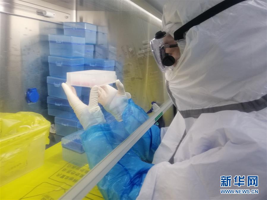 （一線抗疫群英譜·圖文互動）（2）“95后”大學(xué)生郝鶯歌：退掉車票，她選擇直面病毒