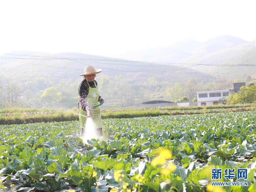 （決戰(zhàn)決勝脫貧攻堅·圖文互動）（3）逐項(xiàng)逐戶排查補(bǔ)齊脫貧攻堅“短板”——貴州晴隆縣扶貧一線工作見聞 
