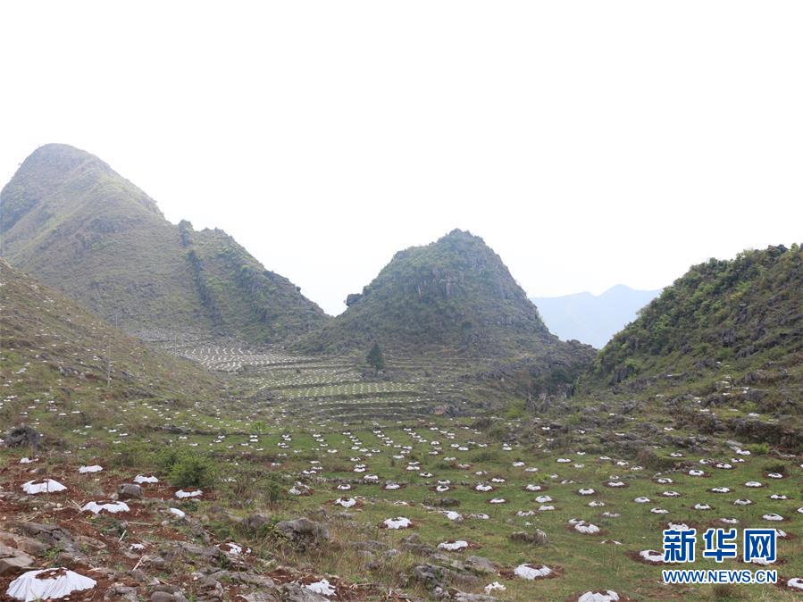 （決戰(zhàn)決勝脫貧攻堅·圖文互動）（4）逐項(xiàng)逐戶排查補(bǔ)齊脫貧攻堅“短板”——貴州晴隆縣扶貧一線工作見聞 