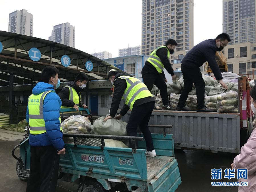 （一線抗疫群英譜·圖文互動）（2）“面對疫情，我們能做點啥？”——“蘿卜哥”朱海洋的擔(dān)當(dāng)