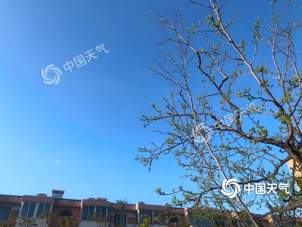 陣風(fēng)8級(jí)！北京遭遇雨后大降溫 北風(fēng)勁吹需添衣