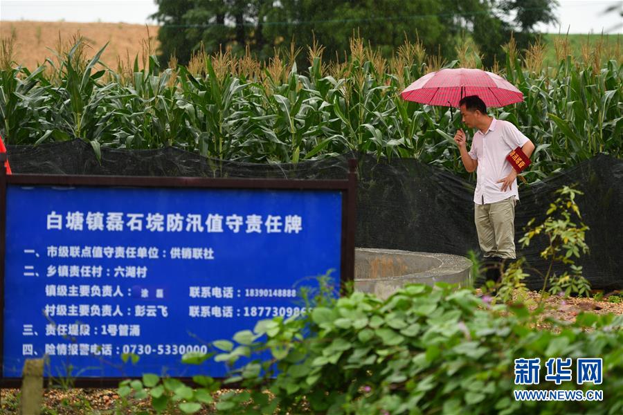 （防汛抗洪·圖文互動(dòng)）（1）“險(xiǎn)情不可怕，可怕的是不能及時(shí)發(fā)現(xiàn)險(xiǎn)情”——洞庭湖巡堤查險(xiǎn)現(xiàn)場直擊