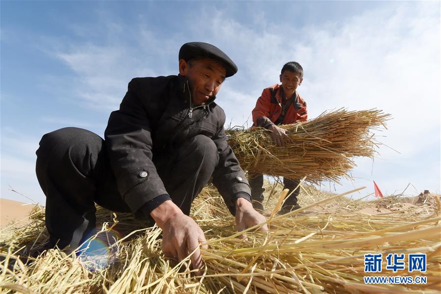 （在習(xí)近平新時代中國特色社會主義思想指引下——新時代新作為新篇章·習(xí)近平總書記關(guān)切事·圖文互動）（5）綠色映底蘊，山水見初心——生態(tài)優(yōu)先、綠色發(fā)展持續(xù)造福群眾美好生活