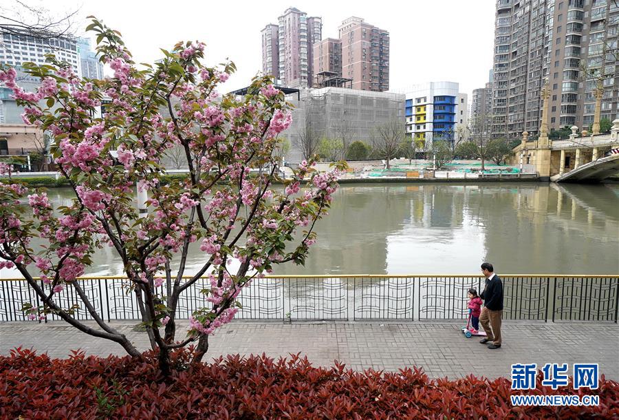 （新華全媒頭條·走向我們的小康生活·圖文互動(dòng)）（12）城市，讓人民生活更美好