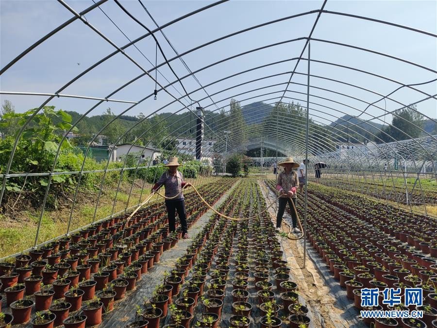 （決戰(zhàn)決勝脫貧攻堅·圖文互動）（3）安居樂業(yè)并重，搬遷脫貧同步——湖北88萬搬遷群眾脫貧觀察 