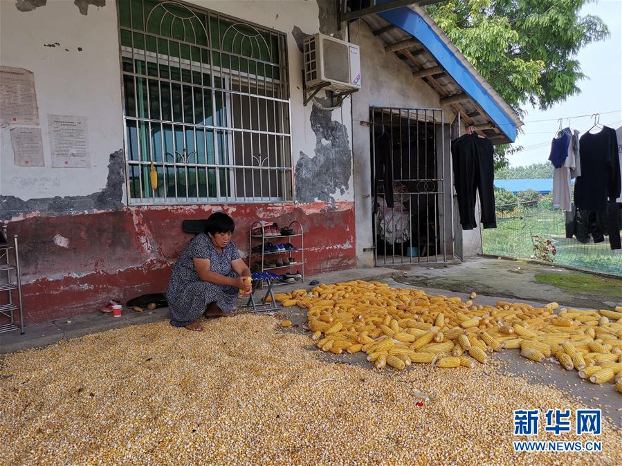 （新華視點(diǎn)·聚焦餐桌外的浪費(fèi)·圖文互動(dòng)）（3）農(nóng)戶儲(chǔ)糧損失達(dá)8%！設(shè)施普遍簡(jiǎn)陋，蟲害霉變堪憂