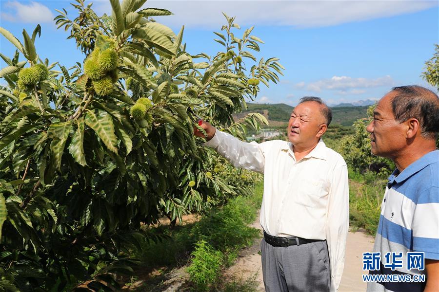 （新華全媒頭條·走向我們的小康生活·圖文互動）（11）長城腳下，小康村串成“珍珠鏈”