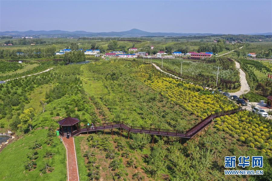 （新華全媒頭條·走向我們的小康生活·圖文互動(dòng)）（16）黑土地上是我家——在吉林，一瞥中國(guó)東北鄉(xiāng)村美麗未來(lái)