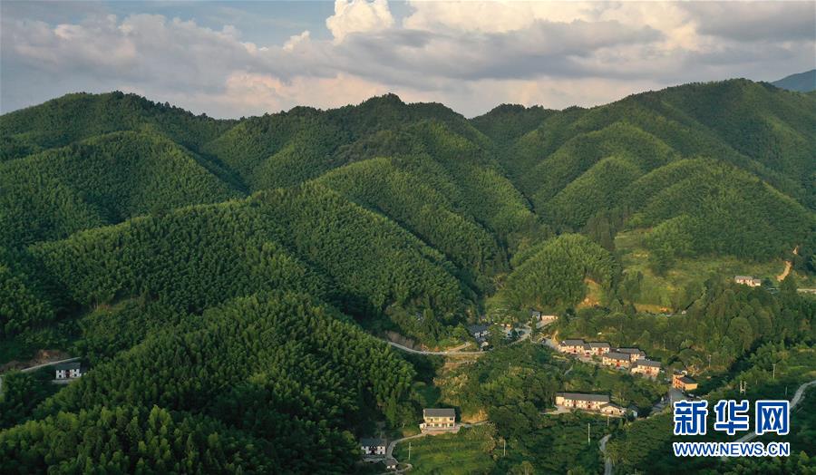 （新華全媒頭條·走向我們的小康生活·圖文互動(dòng)）（2）神山村“神奇”何在？——井岡山深處覓答案