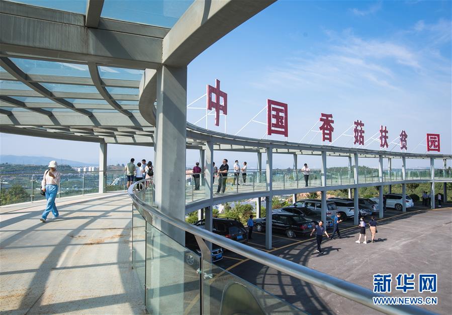 （新華全媒頭條·走向我們的小康生活·圖文互動(dòng)）（2）特殊之年，荊楚大地書(shū)寫不平凡的答卷