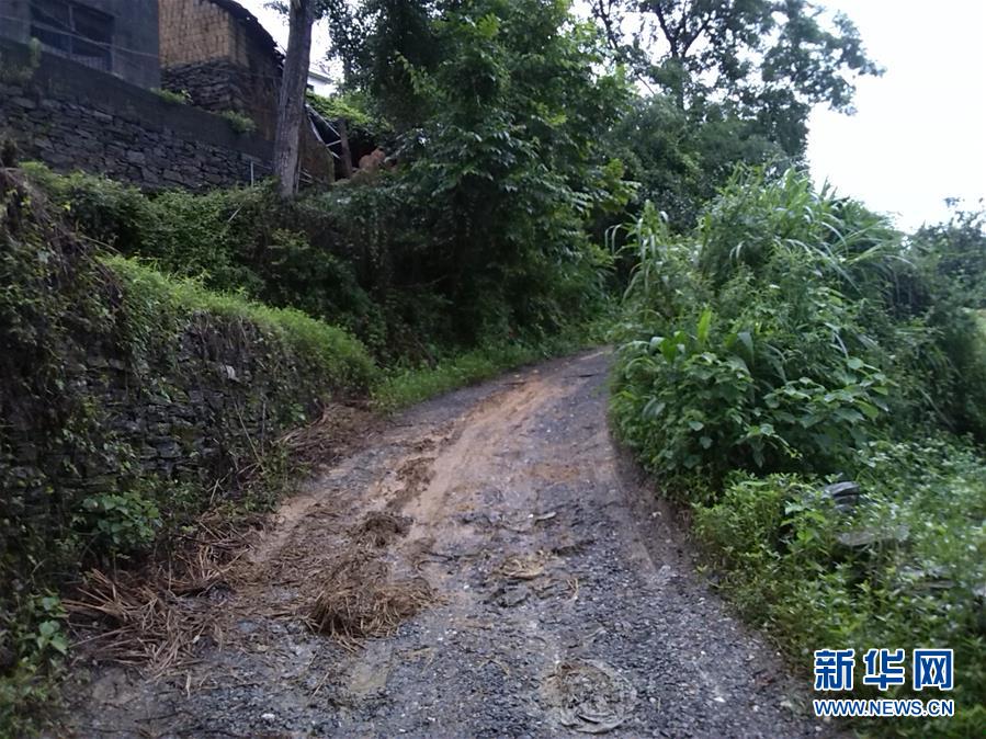 （集中連片特困地區(qū)貧困村調研行·圖文互動）（3）百果園里幸福長——湖南鳳凰縣菖蒲塘村脫貧調查