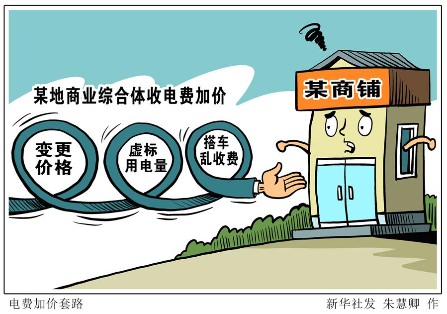 （圖表·漫畫）［新華視點(diǎn)·國務(wù)院大督查在行動(dòng)］電費(fèi)加價(jià)套路