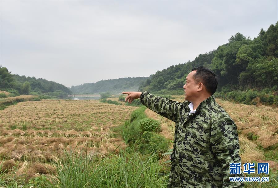 （代表委員履職·圖文互動(dòng)）（2）“我是農(nóng)民代表，始終關(guān)注農(nóng)村”——全國(guó)人大代表沈昌健的履職故事