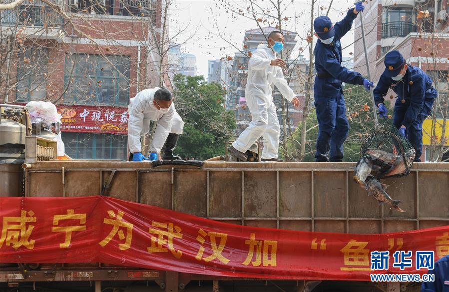 （新華全媒頭條·圖文互動）（12）從人民中汲取磅礴力量——習(xí)近平總書記同出席2020年全國兩會人大代表、政協(xié)委員共商國是紀(jì)實(shí)