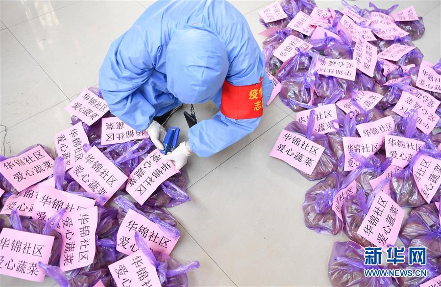 （習(xí)近平致敬的戰(zhàn)“疫”英雄·志愿者篇·圖文互動）（11）他們，微光成炬照征程