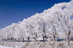 全國初雪時間表出爐 看看你離初雪還有多遠(yuǎn)？
