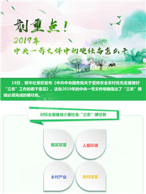 劃重點！2019年中央一號文件中的硬任務(wù)怎么干